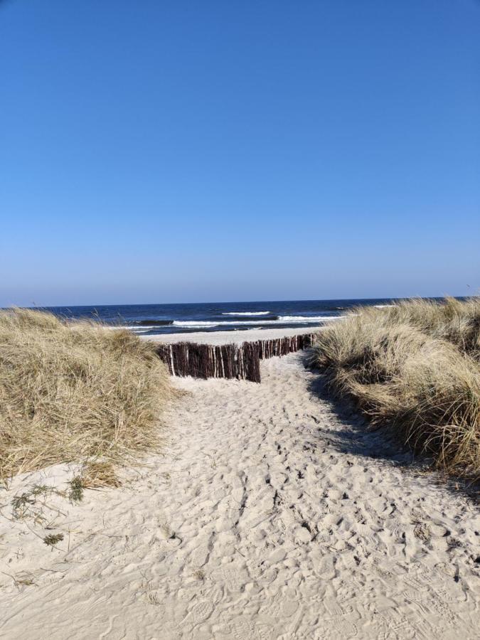 Beachhouse Mit Privater Sauna Und Kamin, 700M Zum Strand Schonberger Strand Eksteriør billede